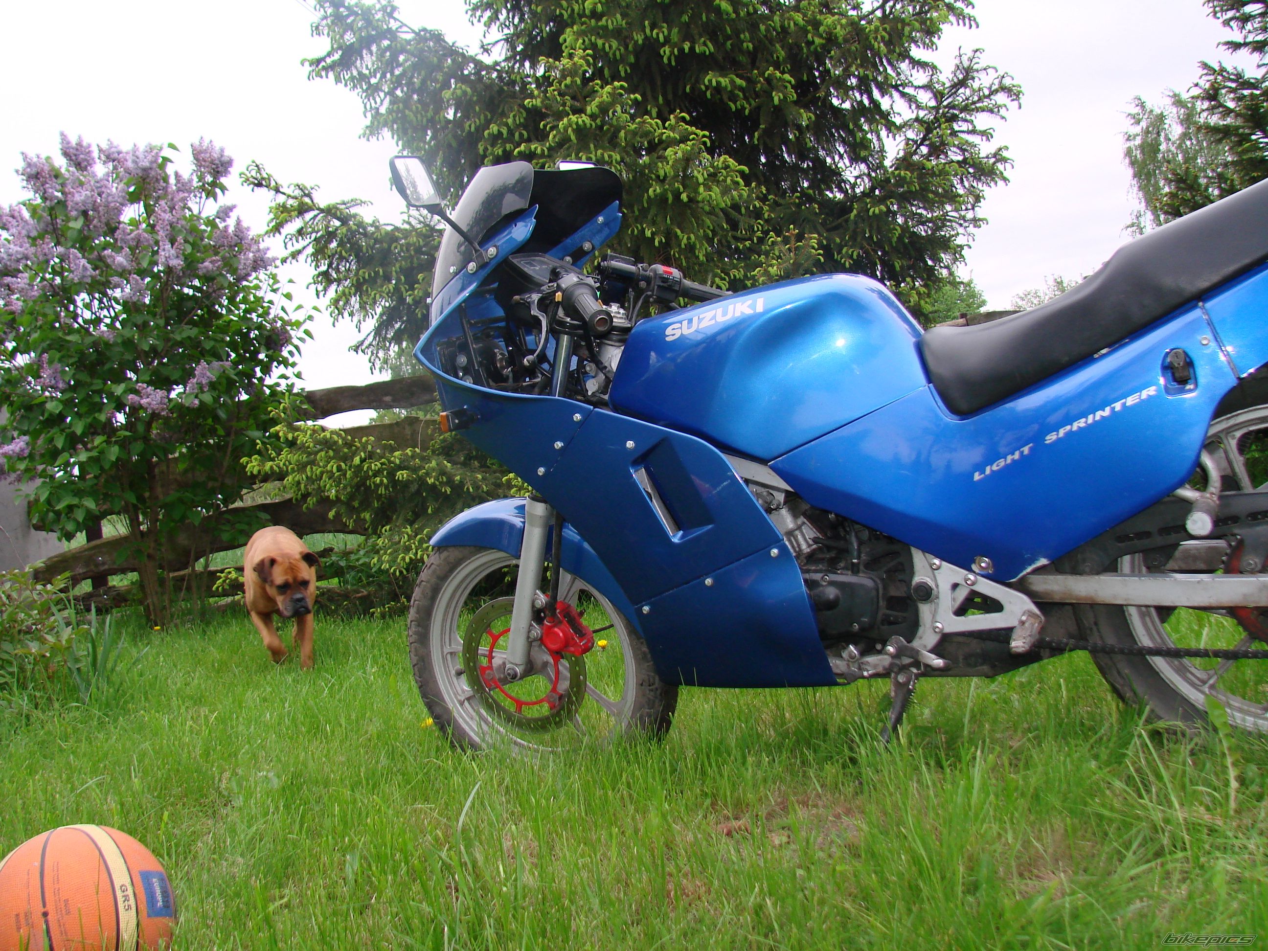 Bike Photo 1986411