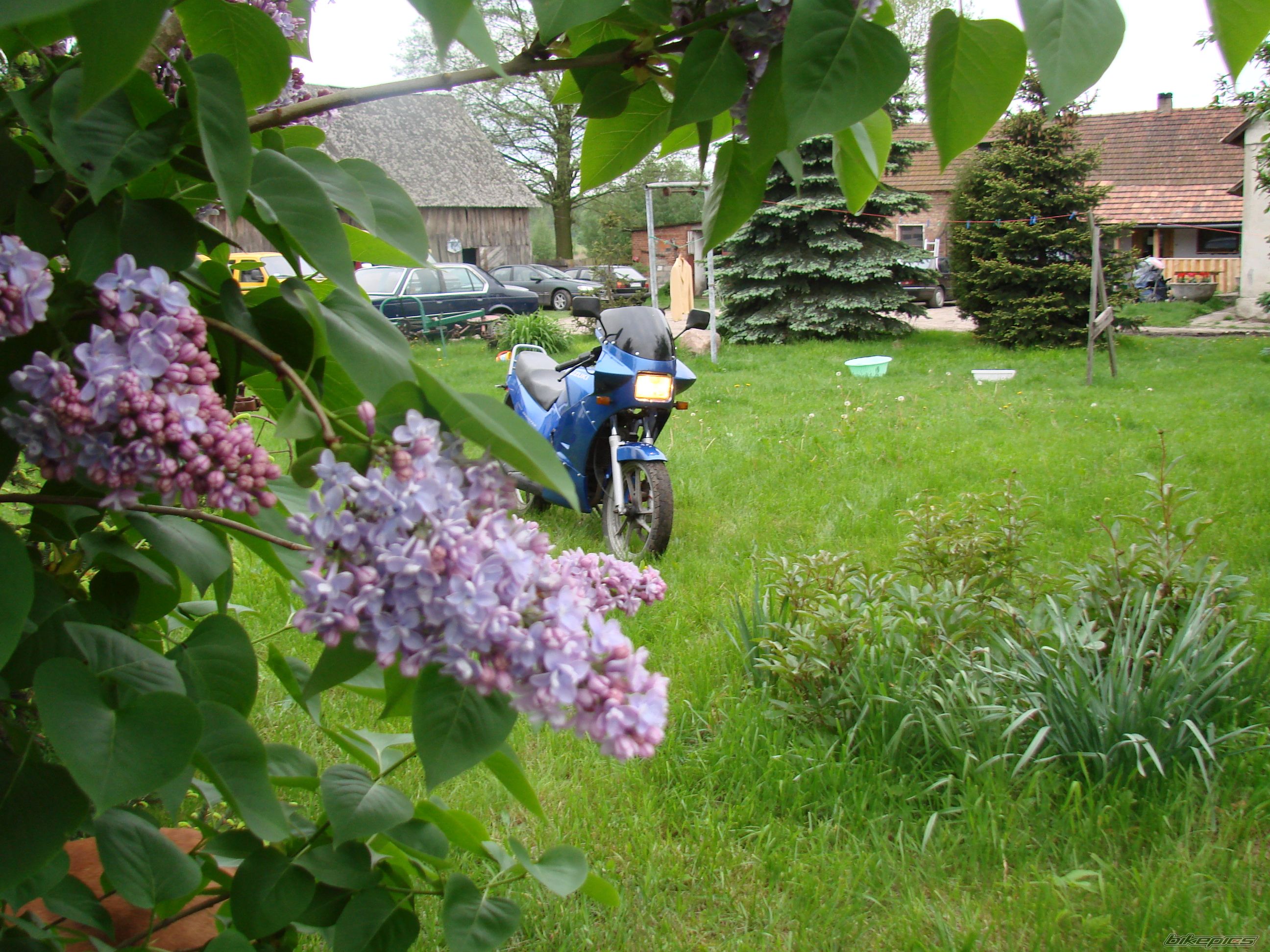 Bike Photo 1986422