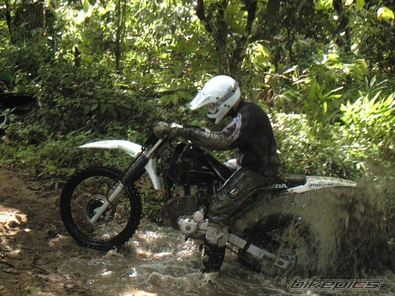 Photo 1986480