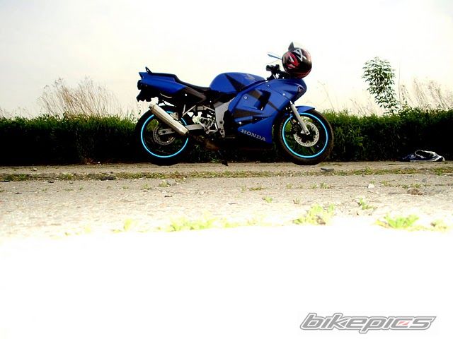Photo 1986488