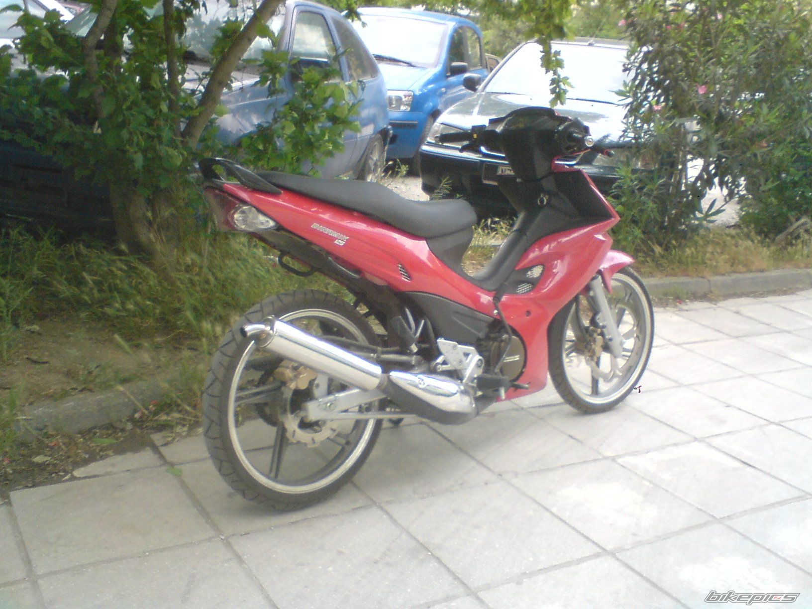 Photo 1986516