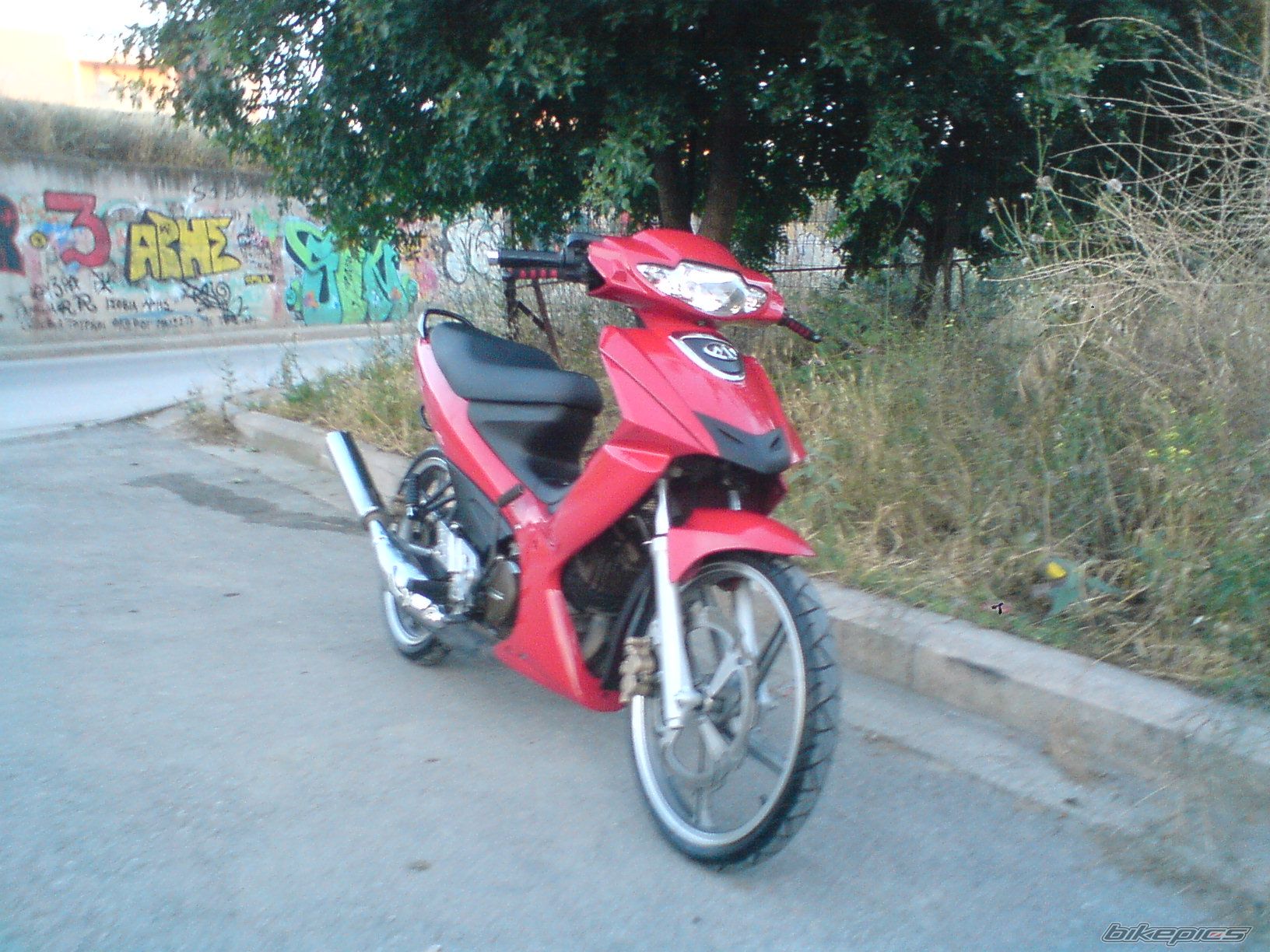 Photo 1986525