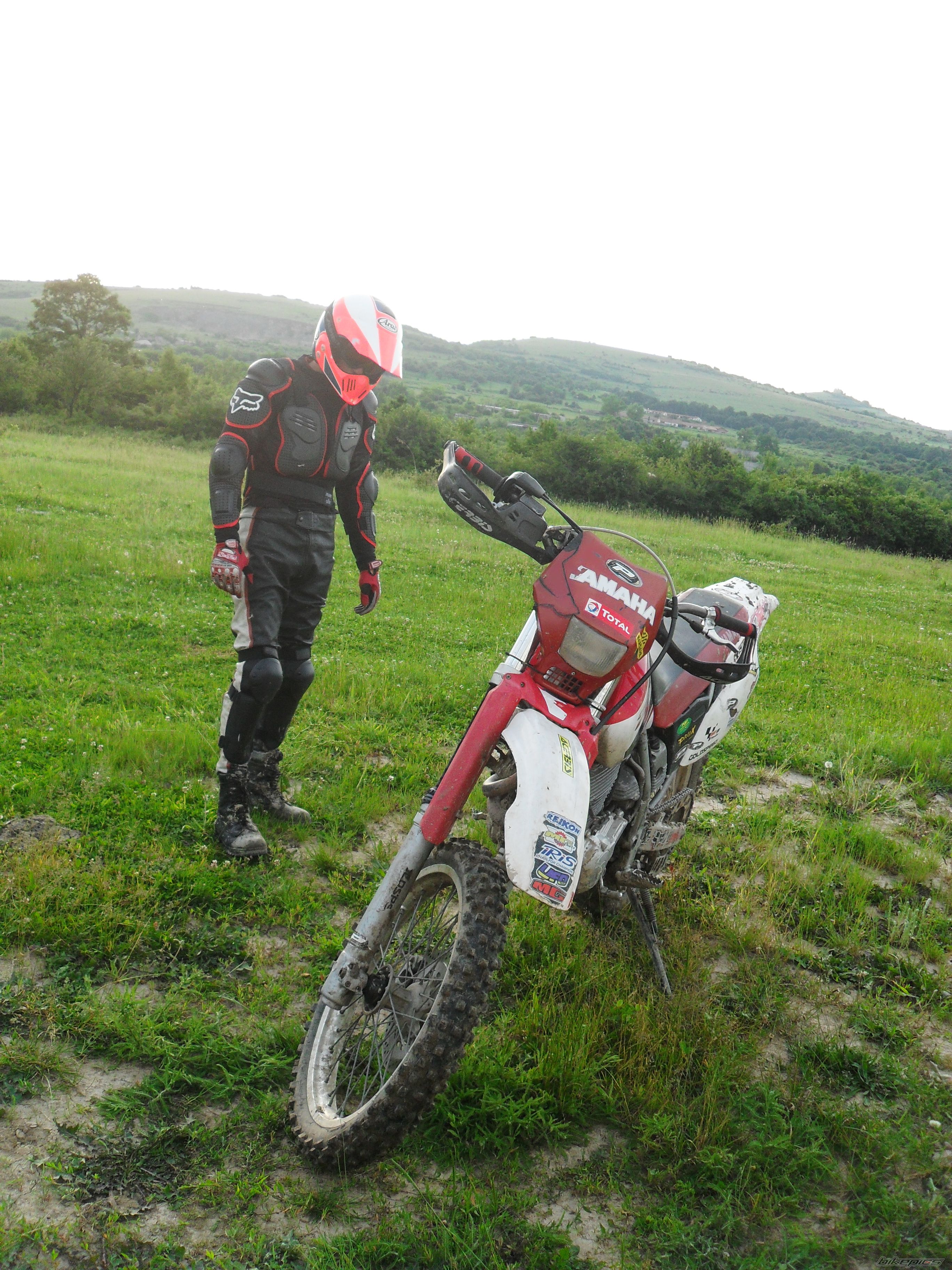 Bike Photo 1986623