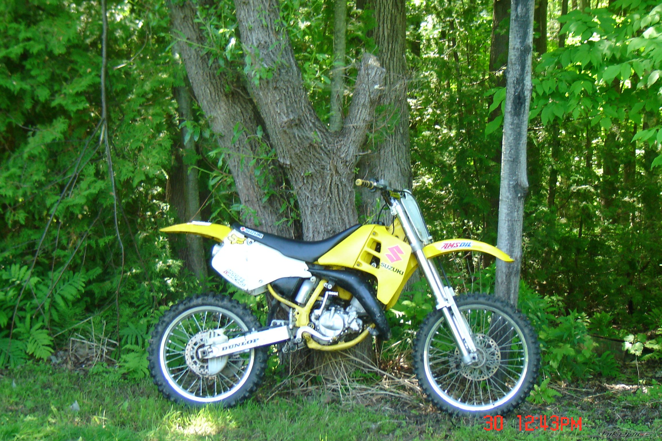 Bike Photo 1986684