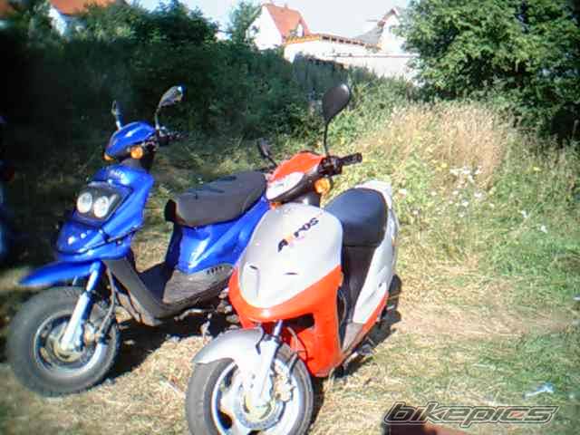 Photo 198669