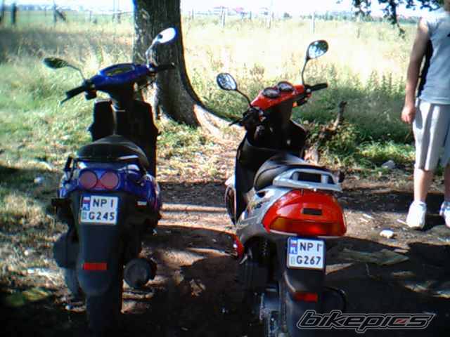 Photo 198670
