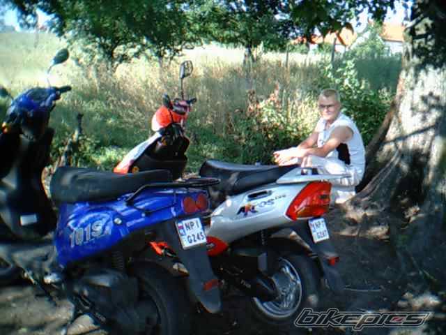 Photo 198671