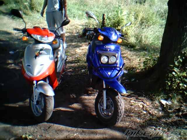 Photo 198672