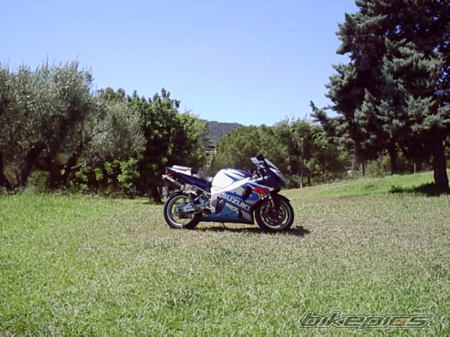 Photo 198675