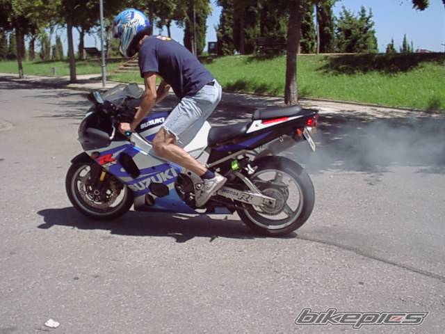 Photo 198679