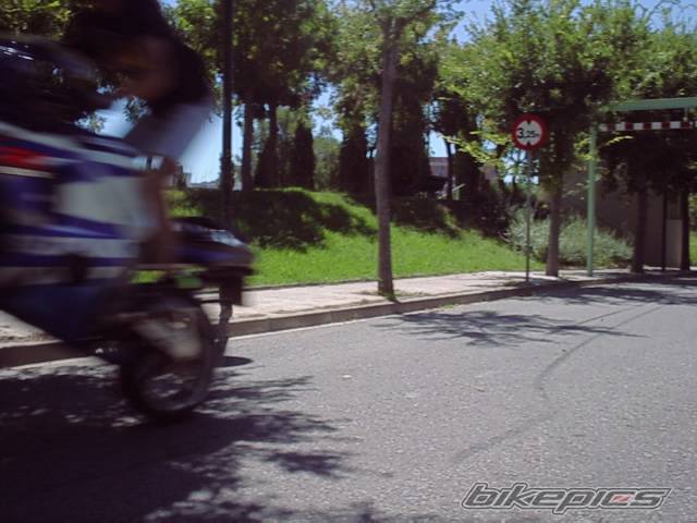 Photo 198680