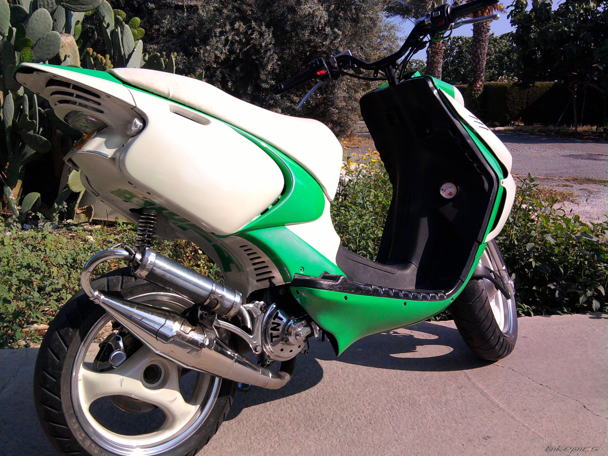 Photo 1986907