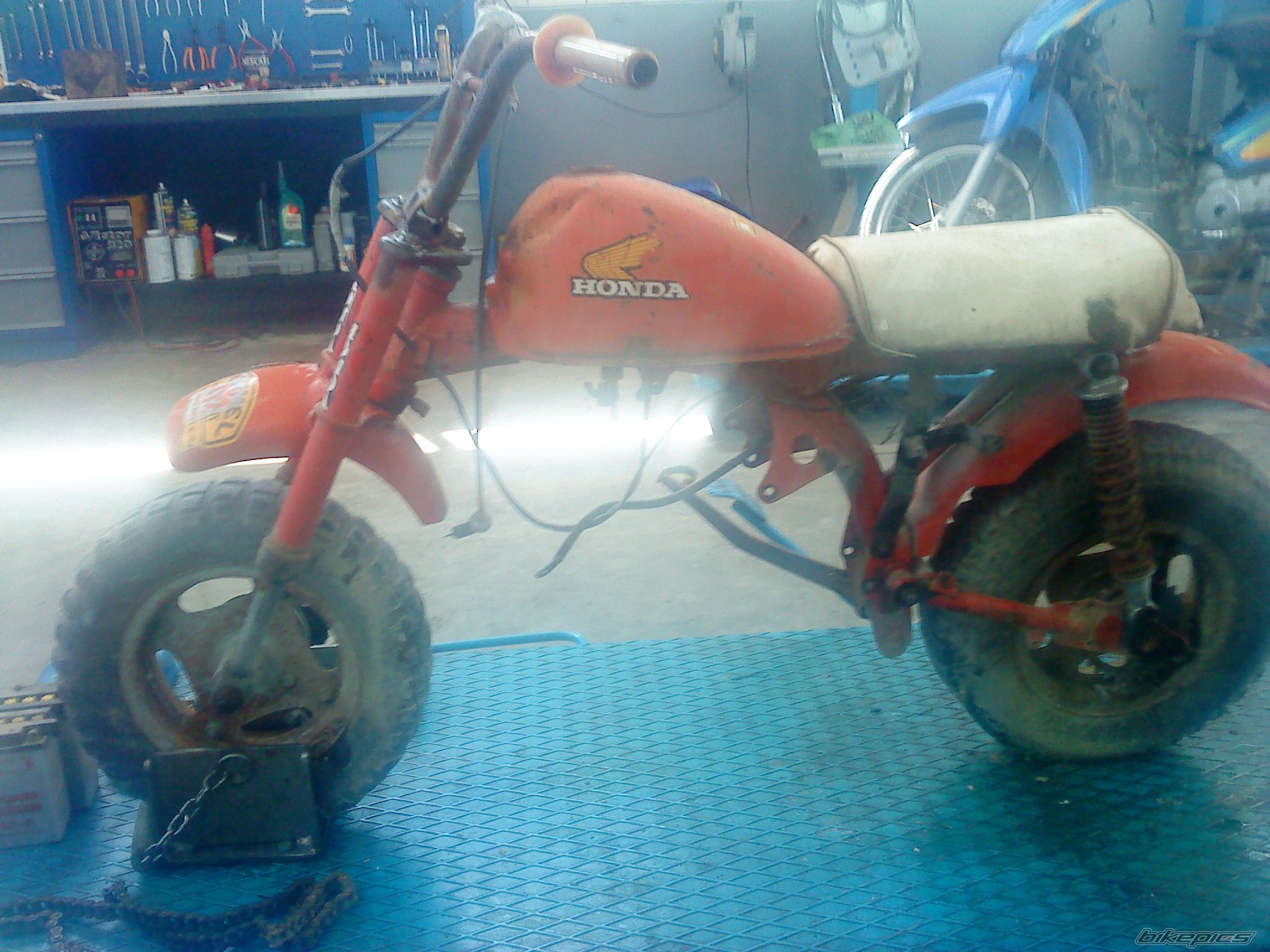 Photo 1986915
