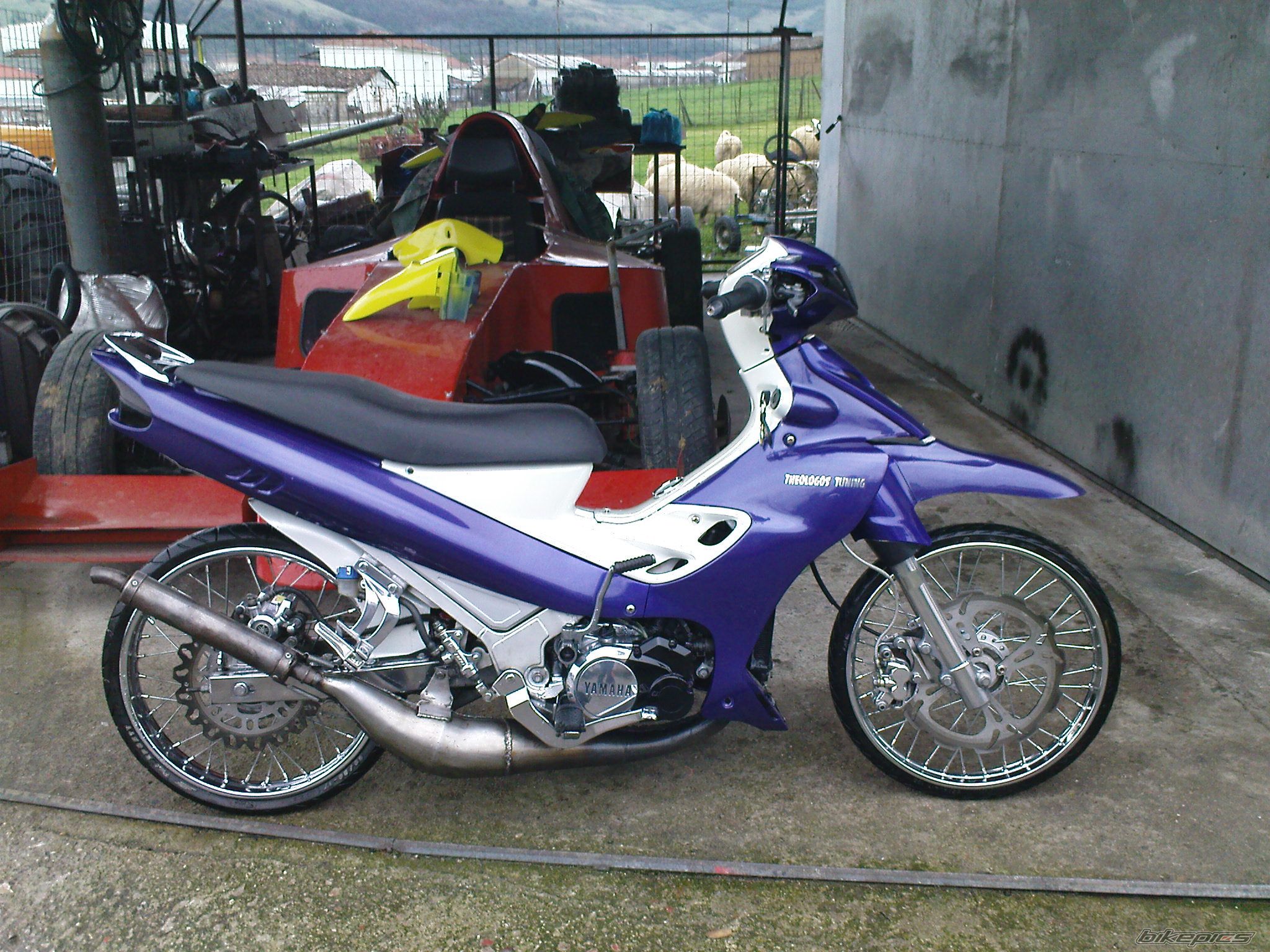 Photo 1987073