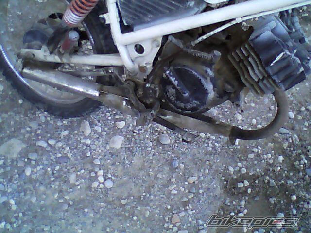 Photo 1987147