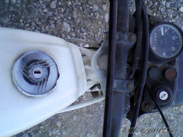 Photo 1987150