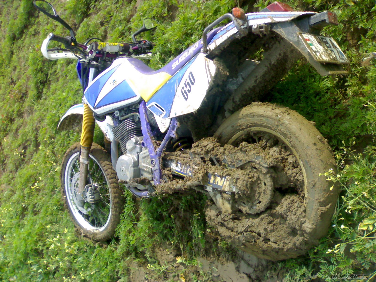 Photo 1987169