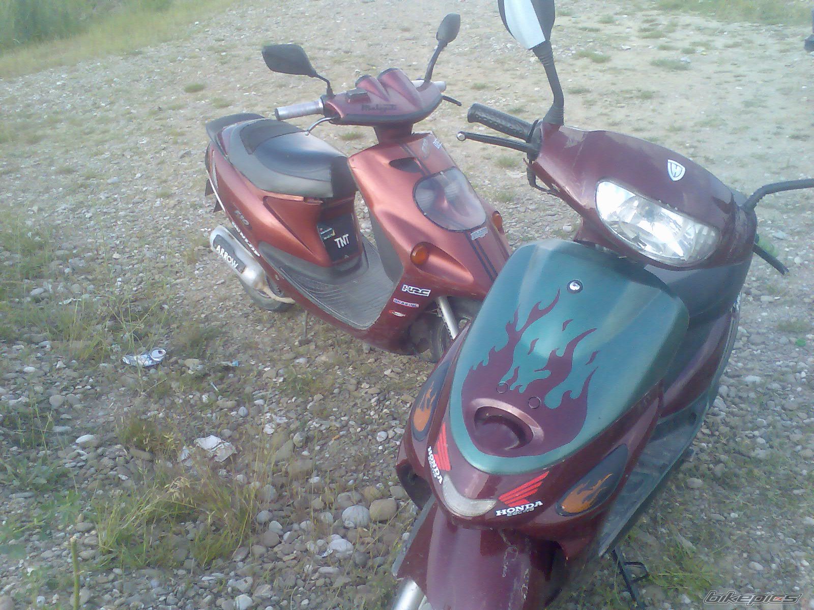 Photo 1987325