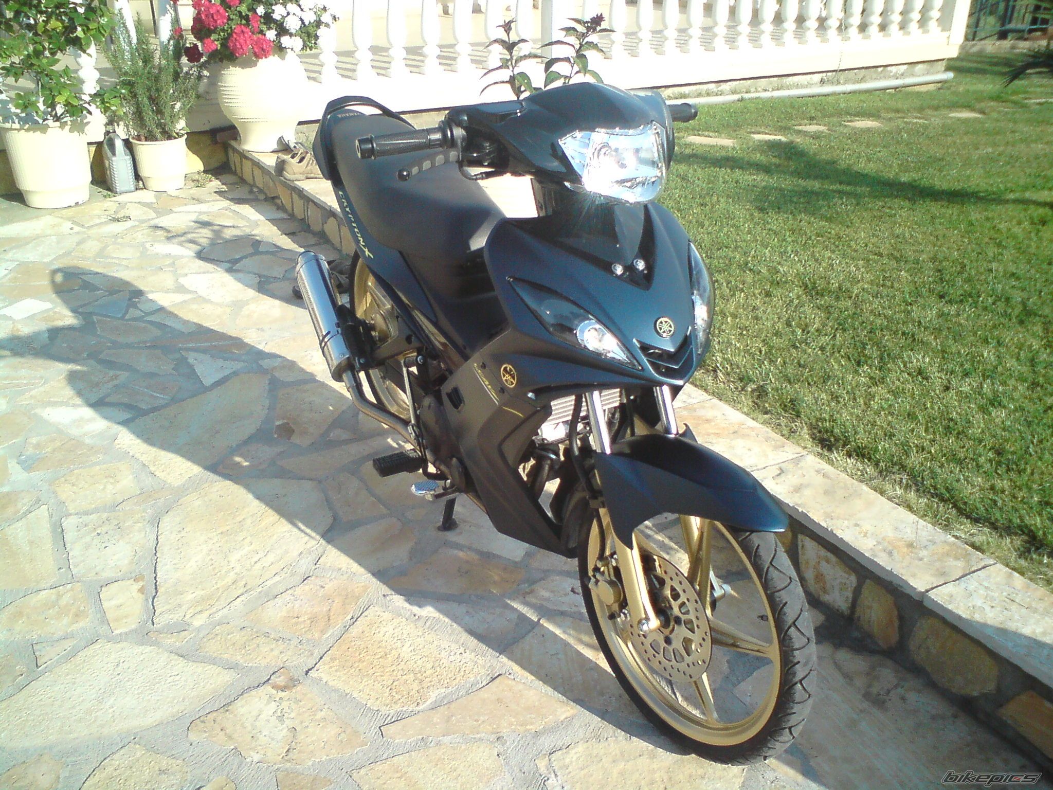 Bike Photo 1987342
