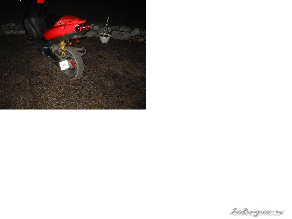 Photo 198740