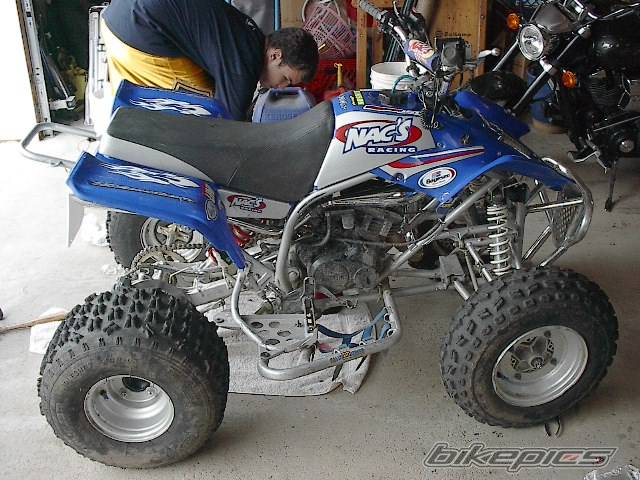 Photo 198754