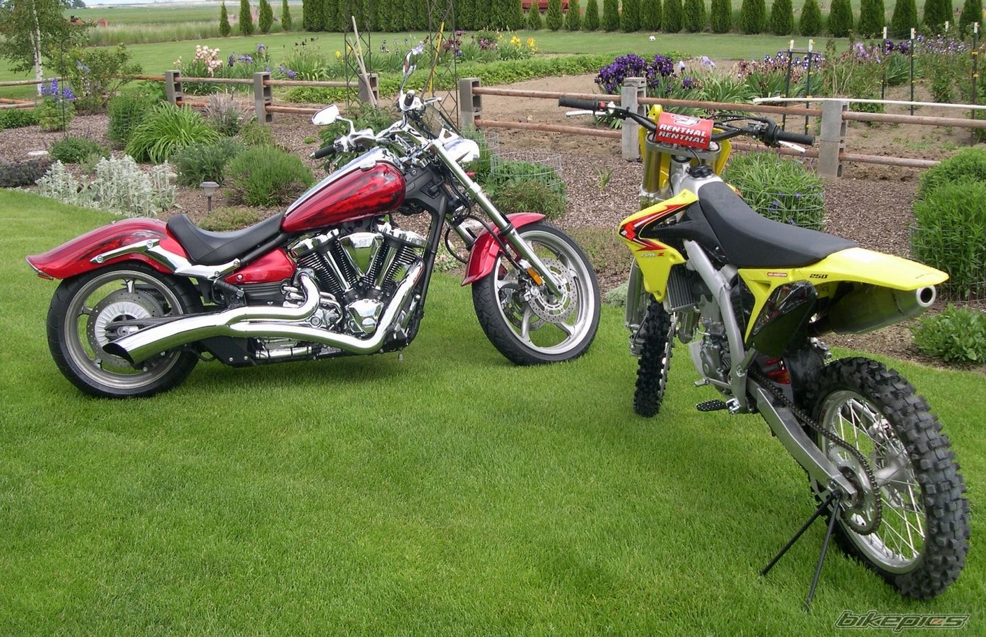 Photo 1987682