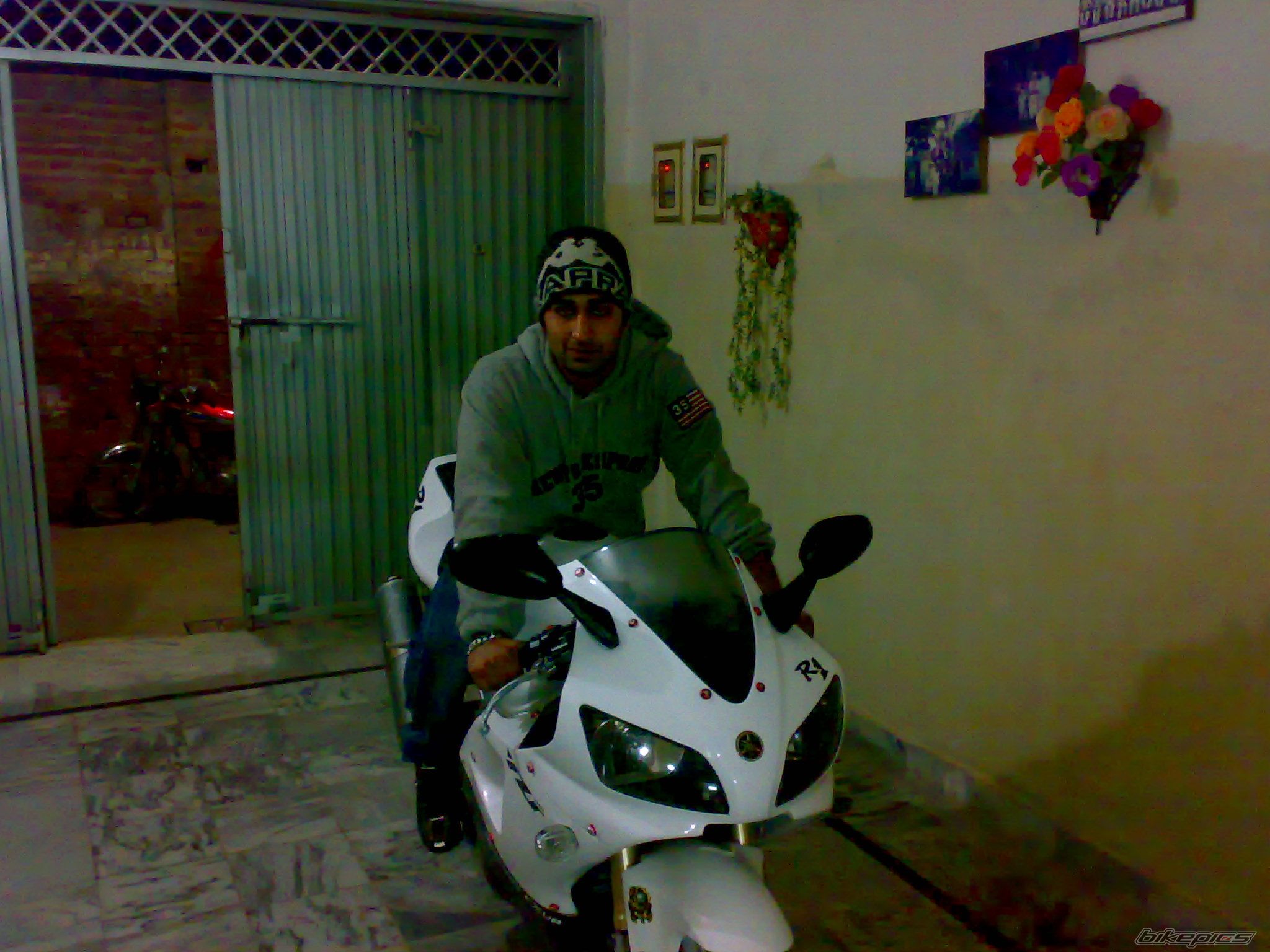 Photo 1987781