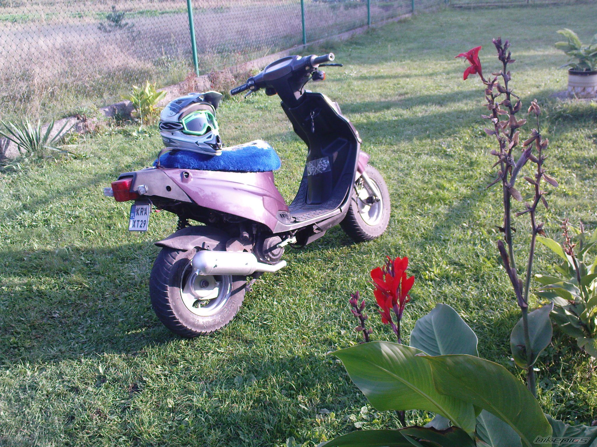 Photo 1987849
