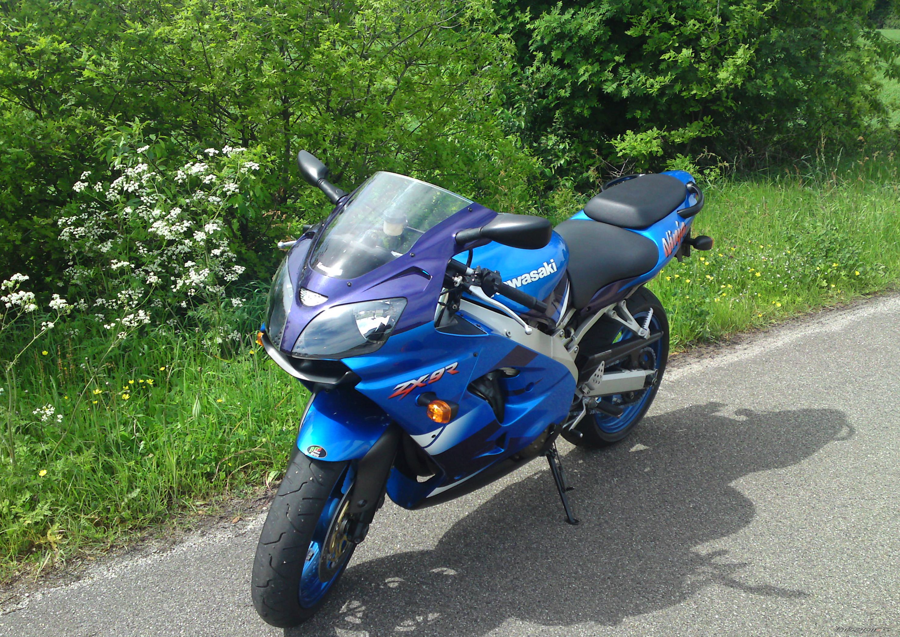 Photo 1987850