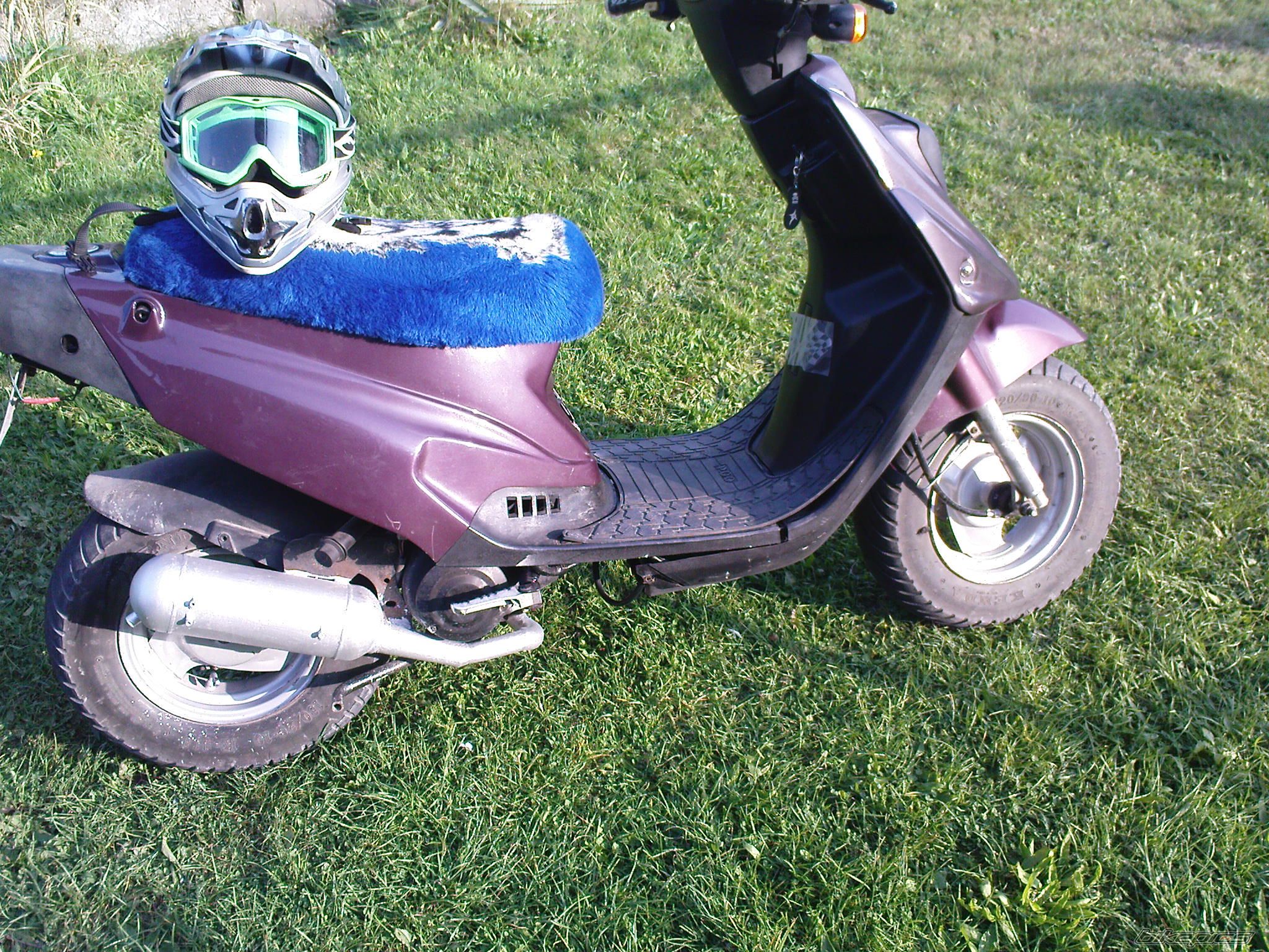 Photo 1987851