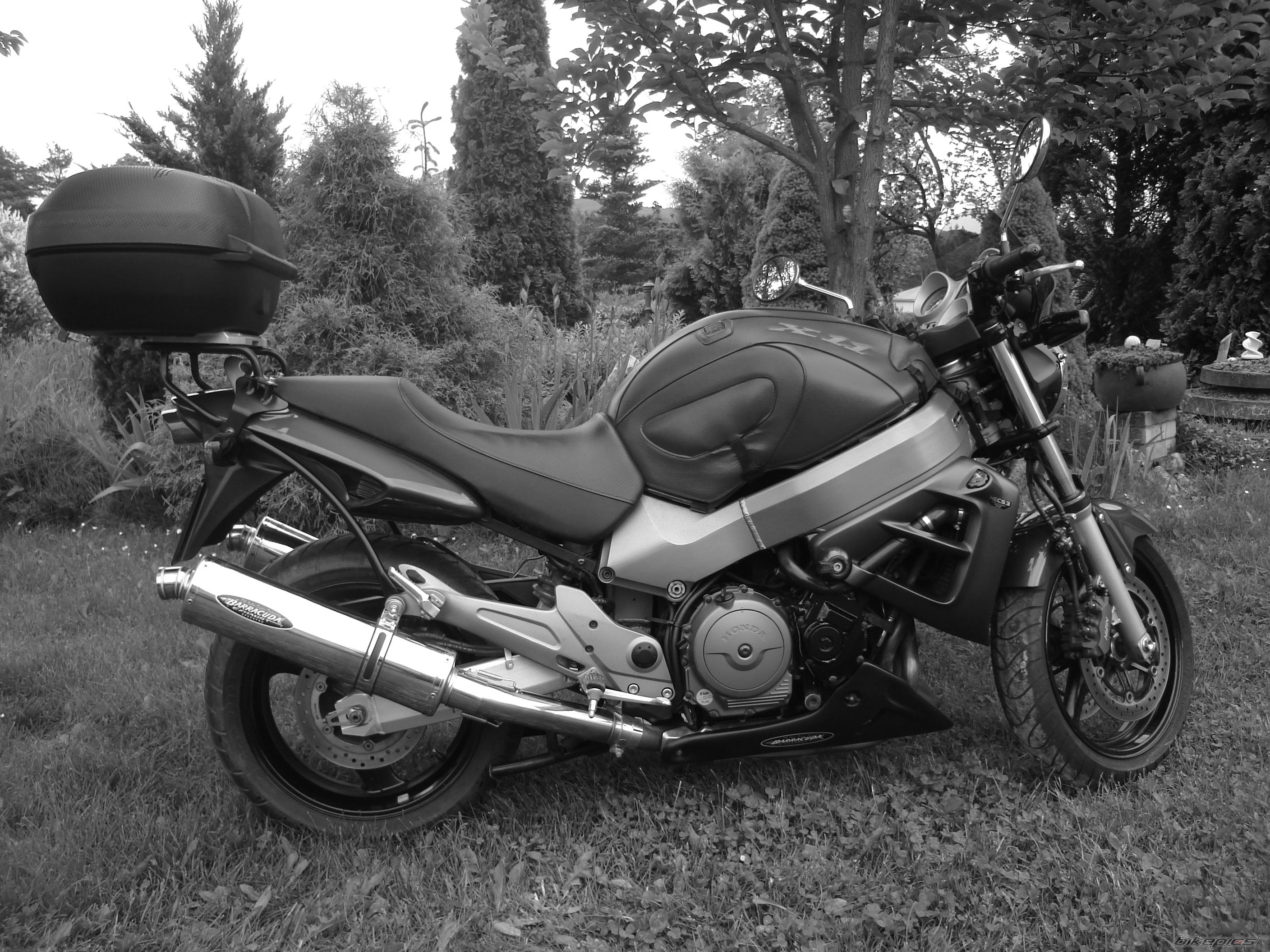 Bike Photo 1987892