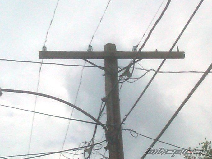 Photo 1988023
