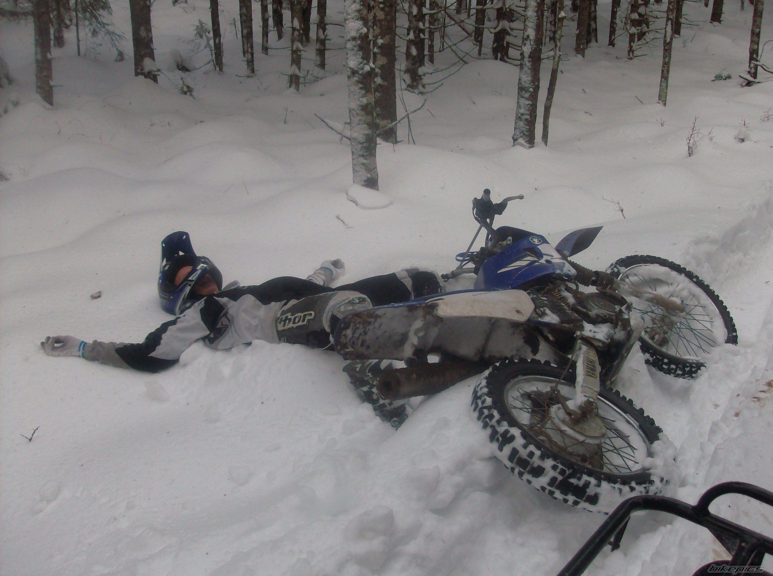 Photo 1988279