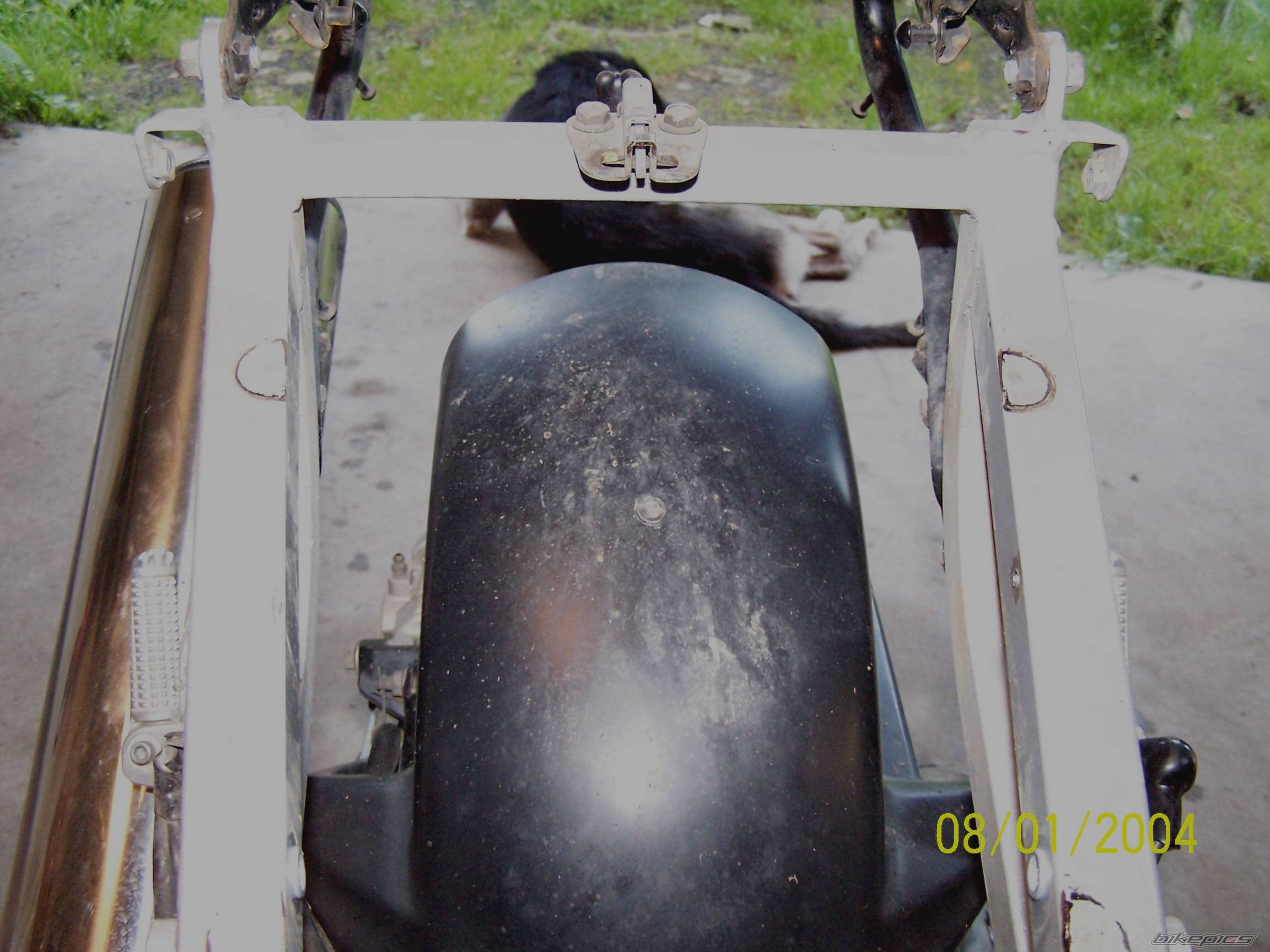 Photo 198829