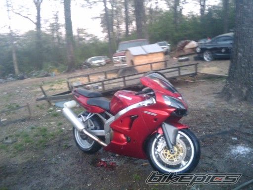 Photo 1988370