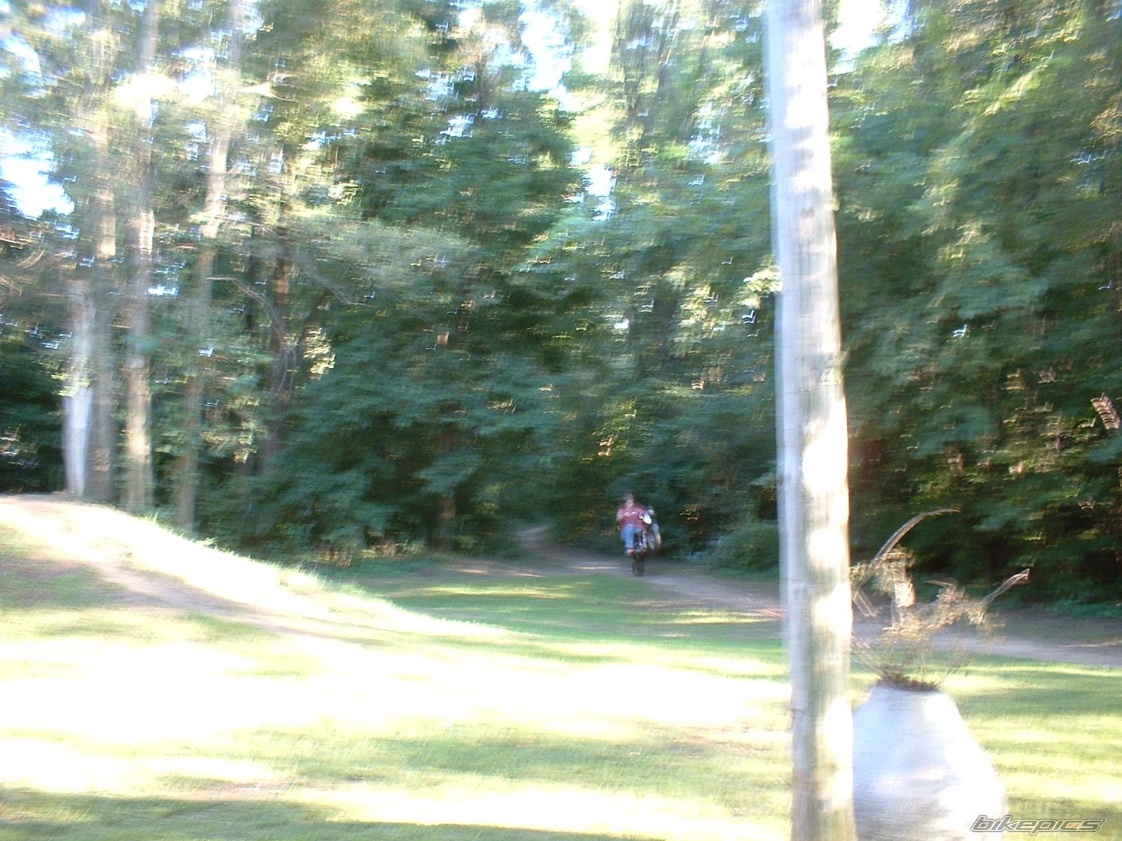 Photo 1988433