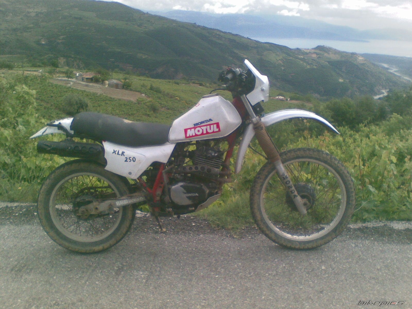Photo 1988662