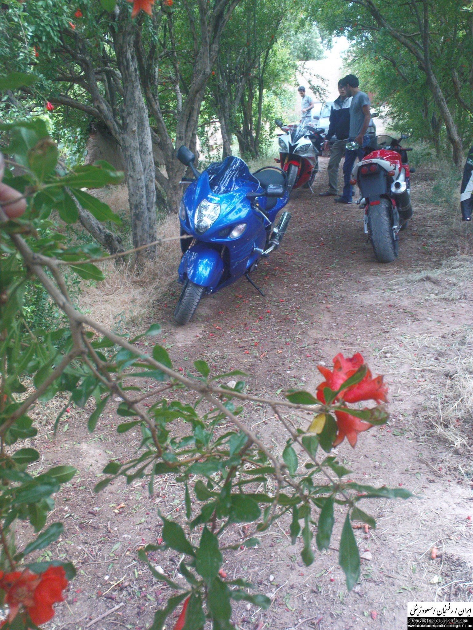 Bike Photo 1988767