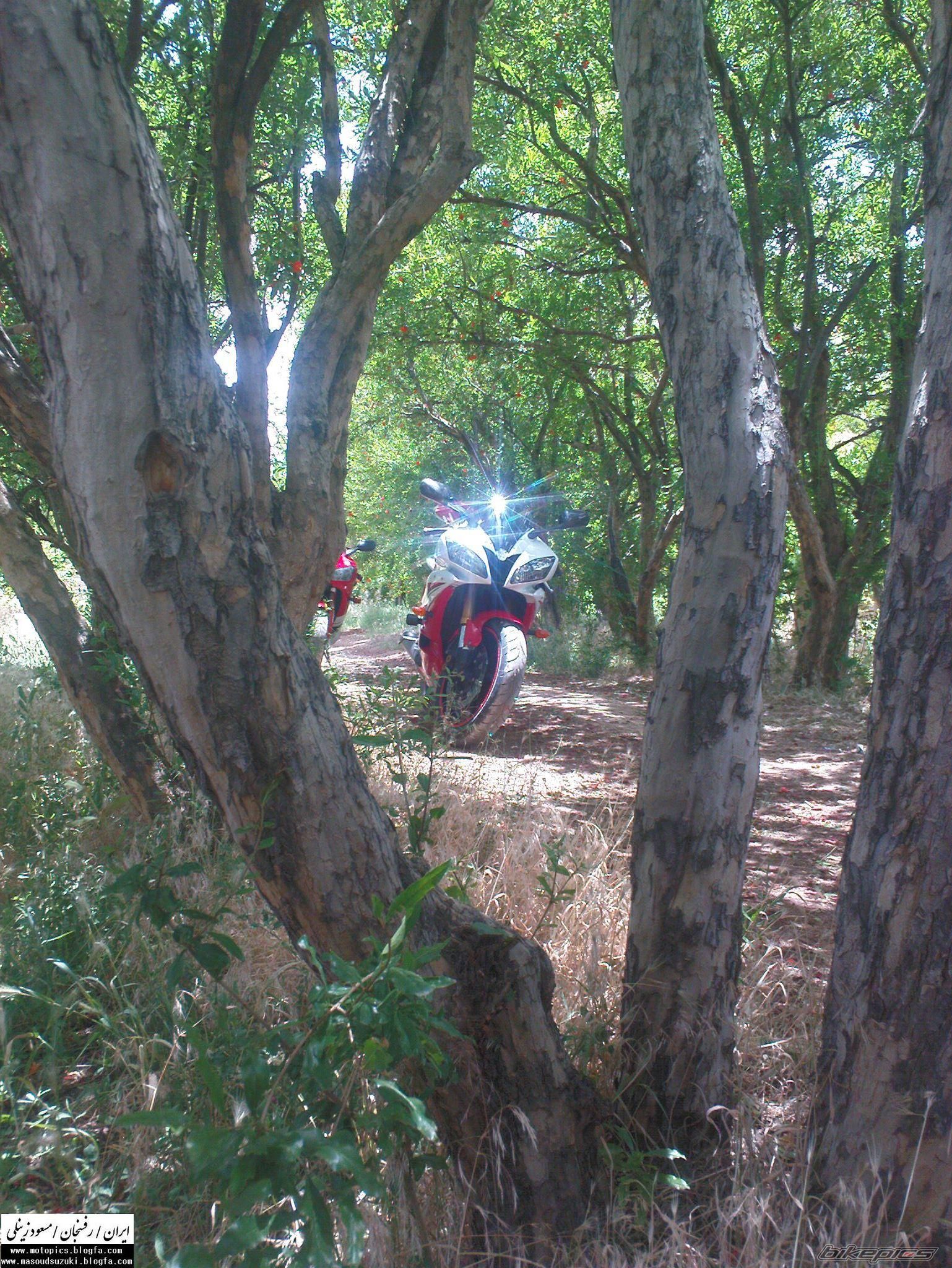 Bike Photo 1988769