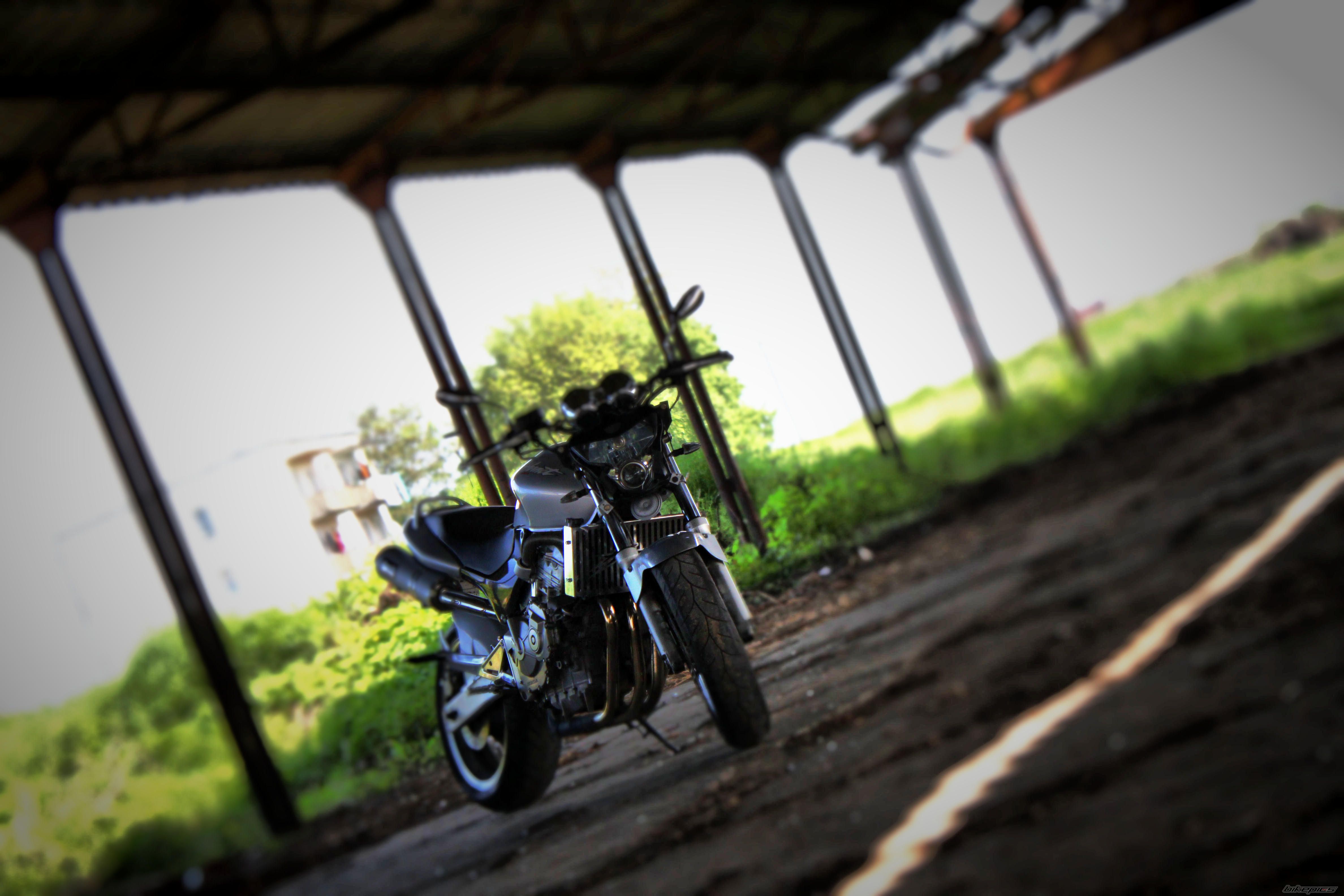 Bike Photo 1988937