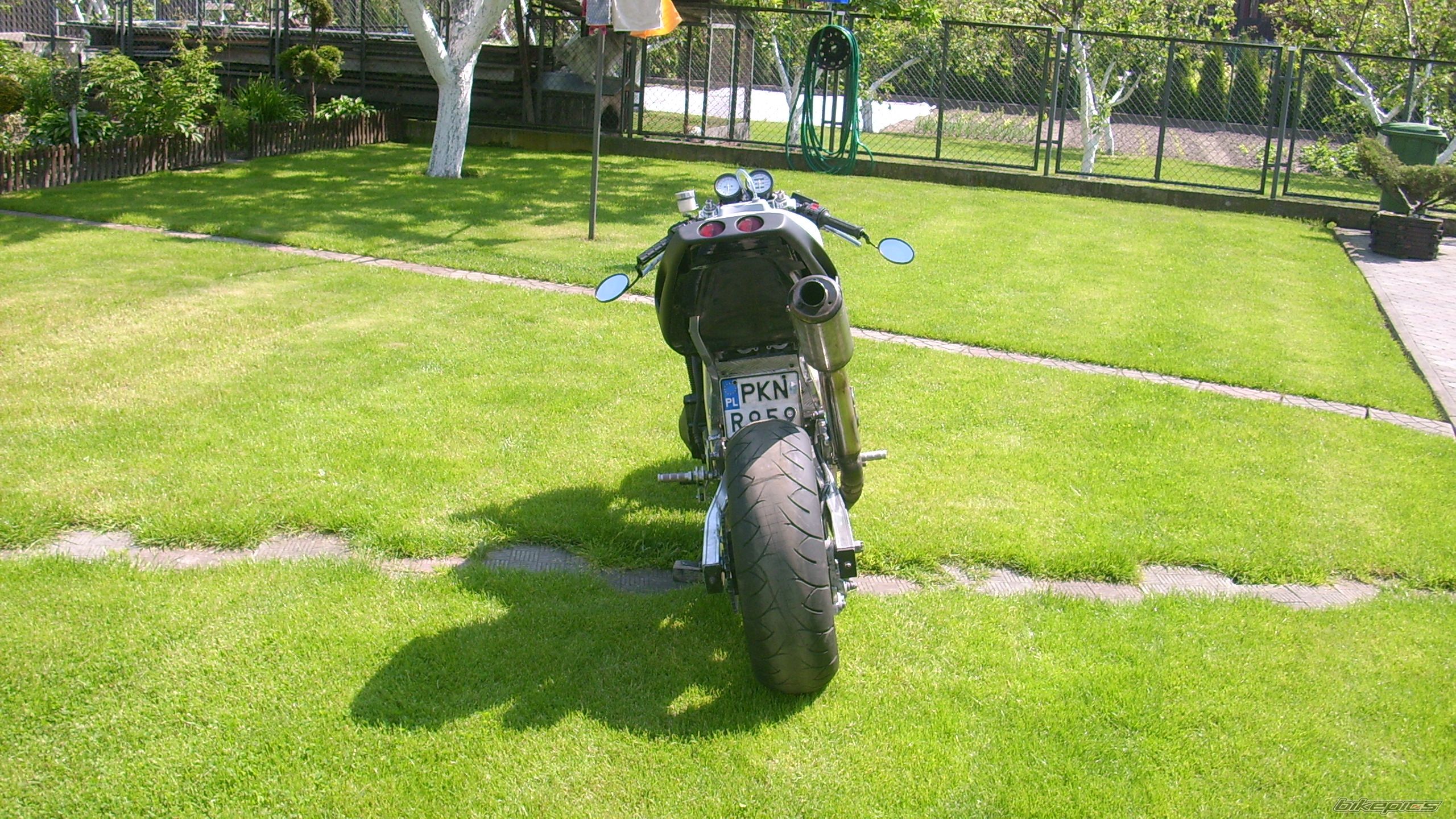 Photo 1989243