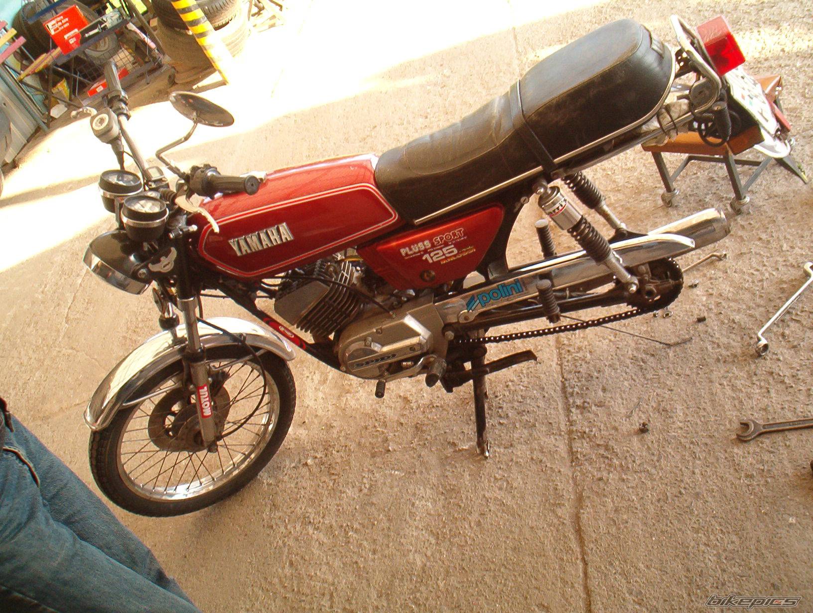 Photo 198942