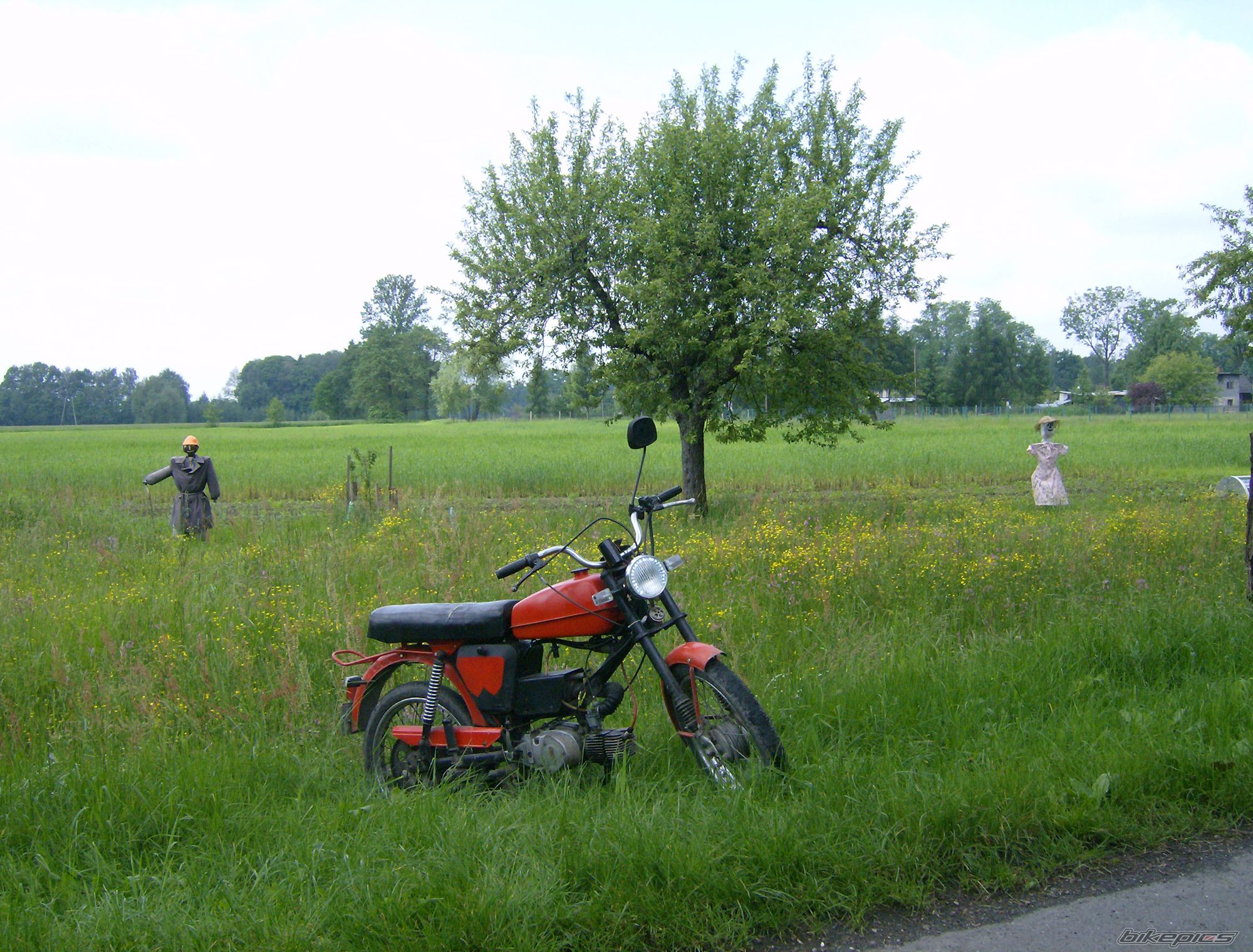Bike Photo 1989608