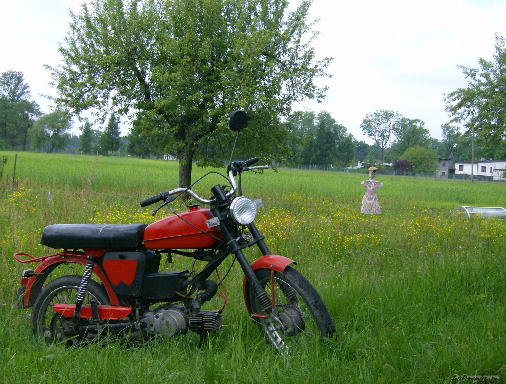Bike Photo 1989609