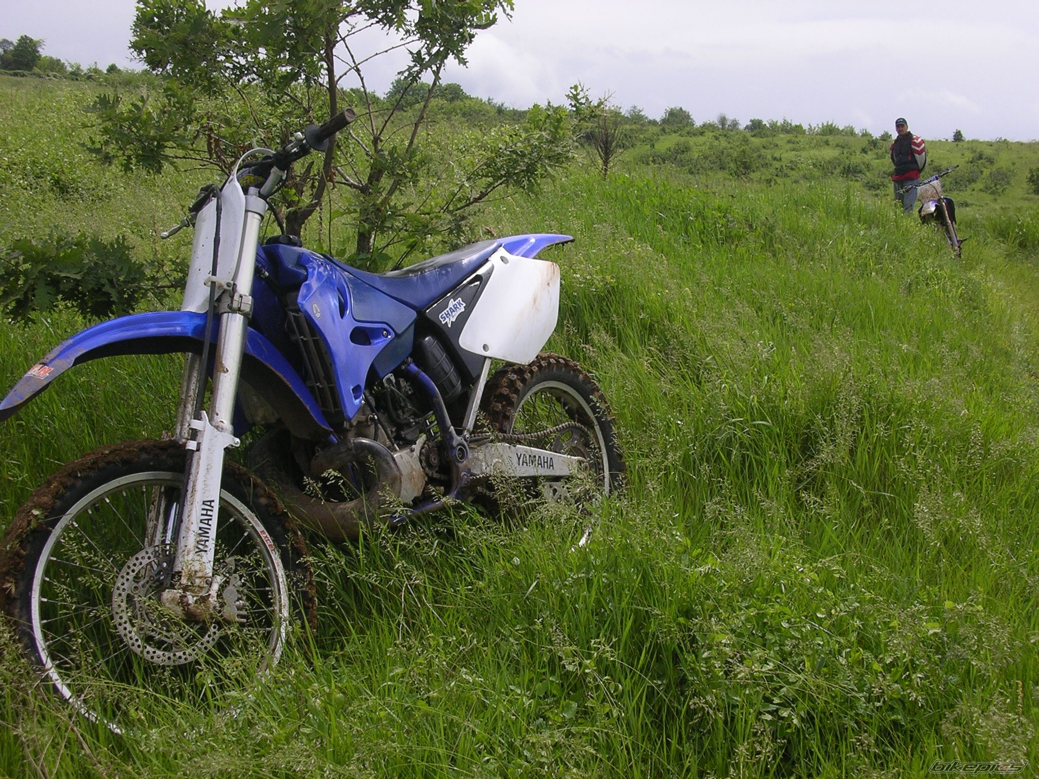 Bike Photo 1989637