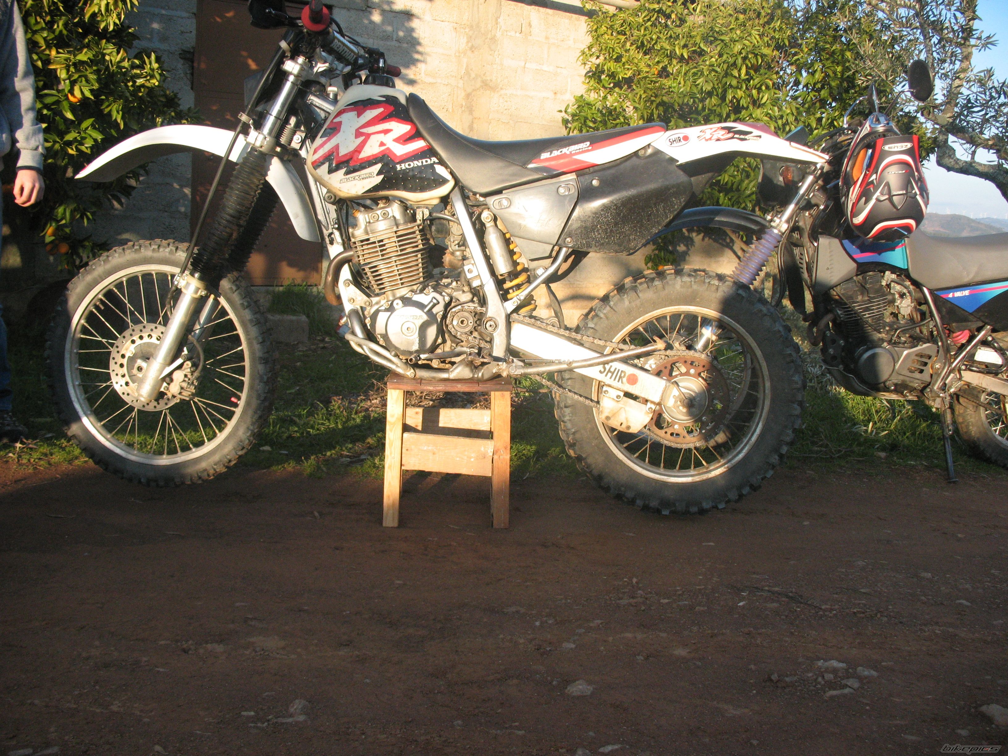 Photo 1989709