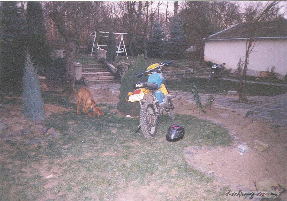 Photo 198971