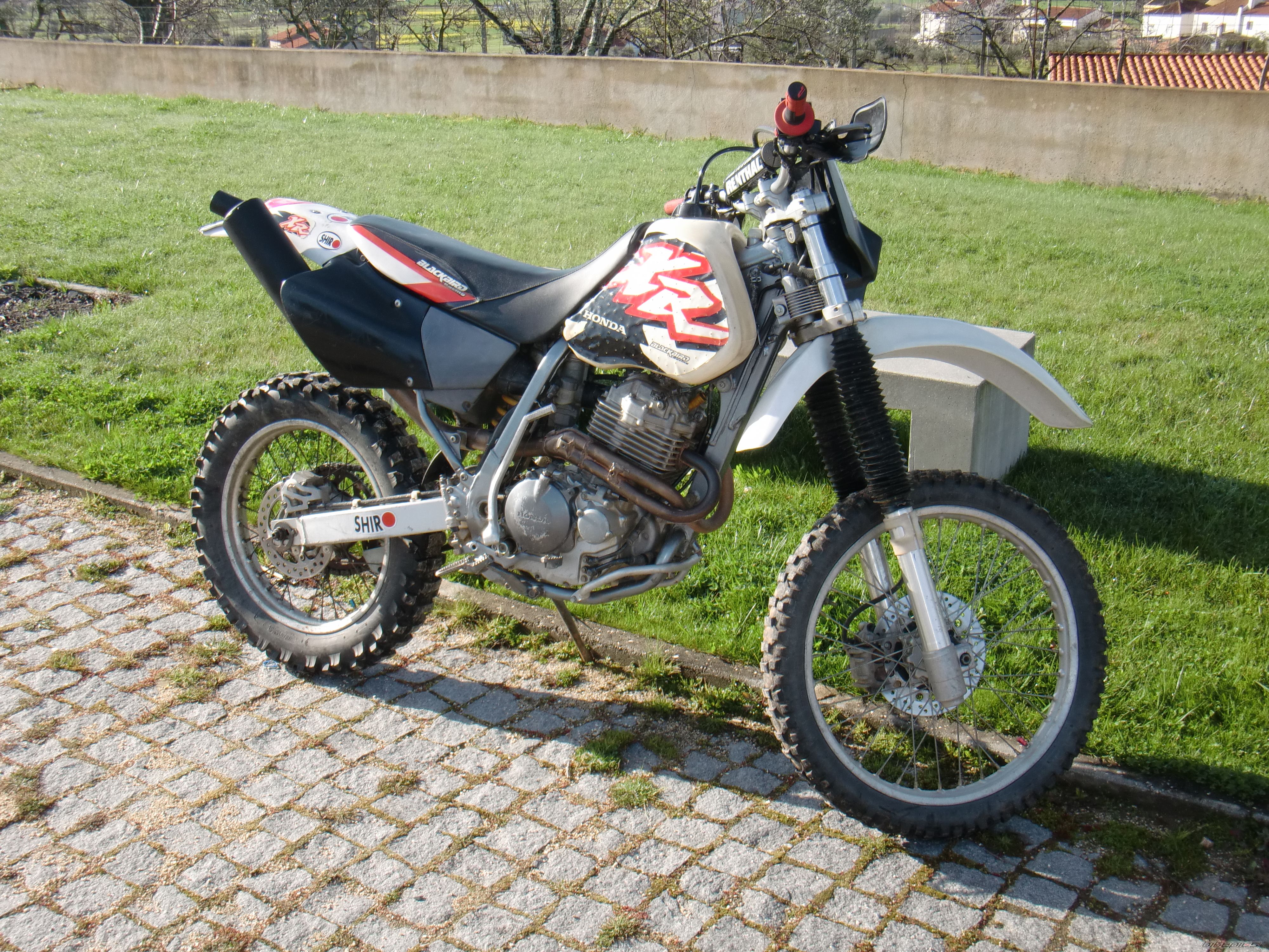 Photo 1989710