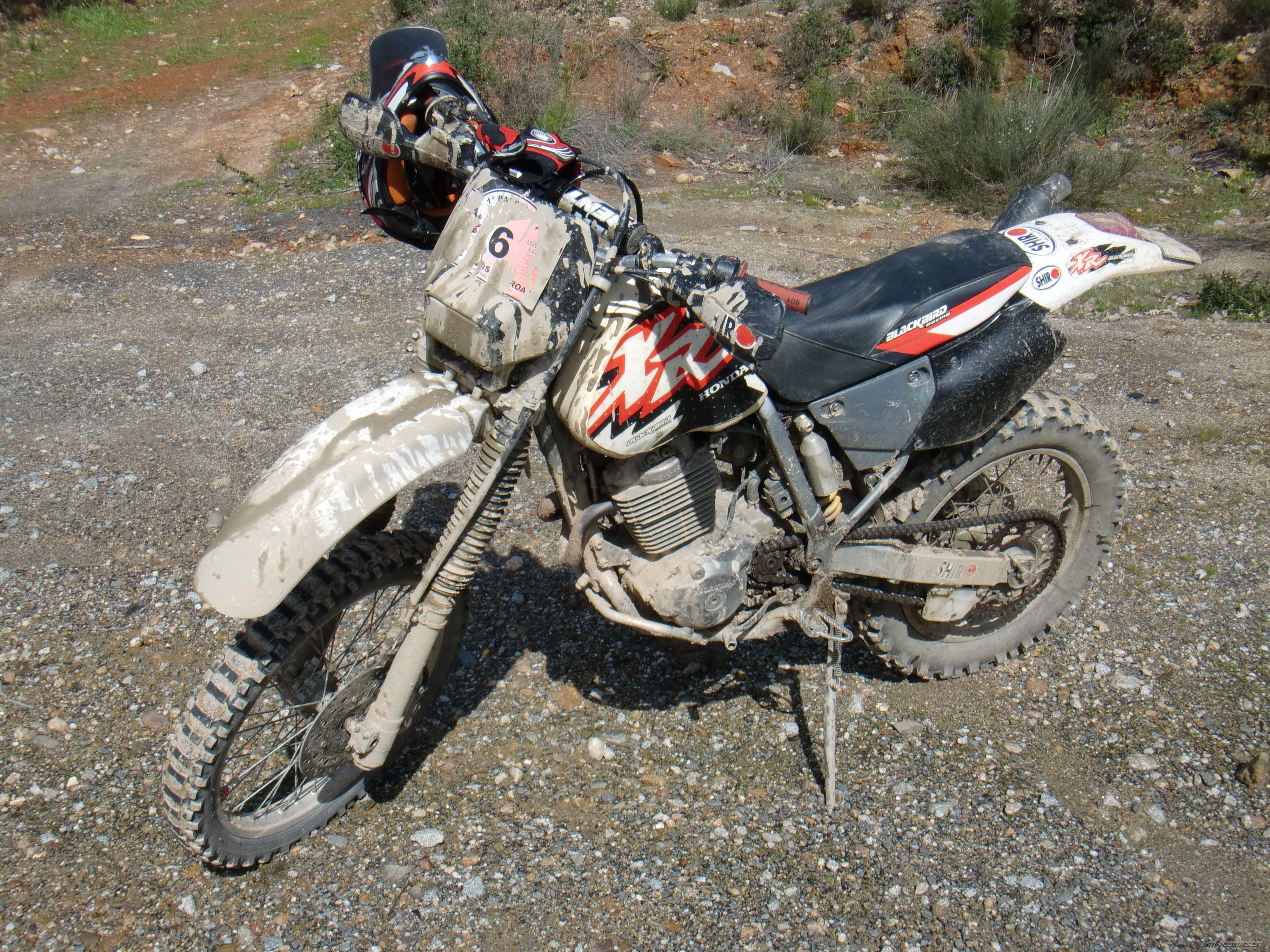 Photo 1989711