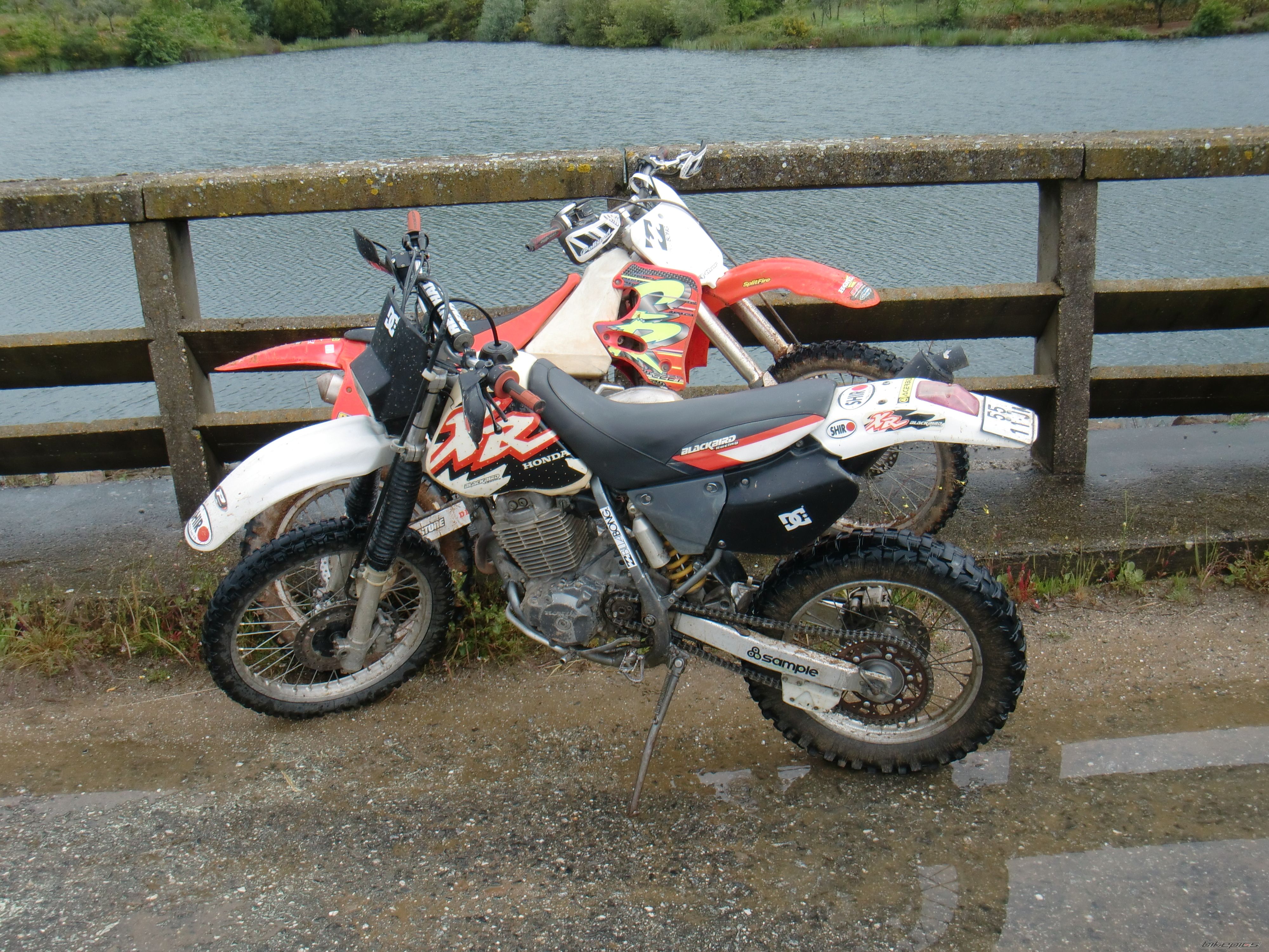 Photo 1989726